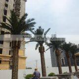Hot Sale Artificial Palm Tree With New Design and Real Touch,indoor or Outdoor thumbnail-2