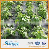 Agriculturer Woven Film Supplier thumbnail-1