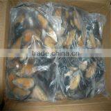 Frozen Fresh Raw Cook Mussels thumbnail-1