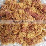 Euchema Spinosum With High Quality thumbnail-6