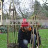 Natural Willow Obelisk Gardening thumbnail-2