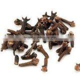 Clove Oil thumbnail-4