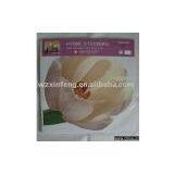 Home Sticker,house Sticker,wall Sticker,wall Decal in Large Size(Europe Fashion Design) thumbnail-1