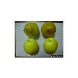 Artificial Vegetable thumbnail-1