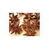 Star Anise thumbnail-1