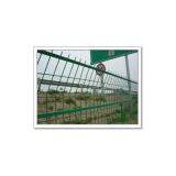 Wire Mesh Fence