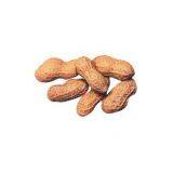 Roasted Peanut in Shell
