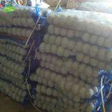 Newly Listed Pure White Garlic,5pcs,200g thumbnail-4