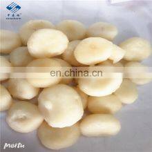 Sinocharm New Season Fresh IQF Peeled Water Chestnut Frozen Whole Water Chestnut thumbnail-5