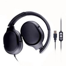 Headphones For Students HD813