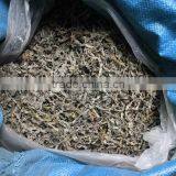Natural Dried Sea Tangle(Kelp Seaweed) Cut for Sale thumbnail-2