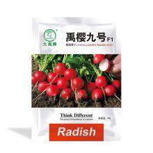 Bulk Radish Seeds