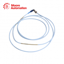 Bently Nevada 330101-XX-XX-20-02-CN MOD 147773-00-12 thumbnail-2