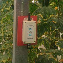 Long Distance Smart Wireless Monitor System for Temperature and Humidity Measurement thumbnail-5