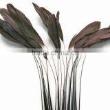 Stripped Brown Coque Tails Fringe Rooster Feather Trim thumbnail-2
