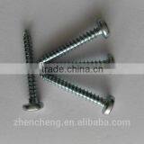 High Quality Pan Head Self Tapping Screw Galvanized (DIN7981) thumbnail-1