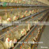 Poultry Battery Cages for Duck Farm thumbnail-3