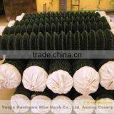 Pvc Coated Chain Link Mesh Fence Hot Dipped Galvanized Diamond Mesh