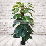 High Simulation Plastic Dieffenbachia, Fake Evergreen Bonsai