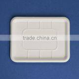 Disposable 100% Biodegradable Fruit Tray thumbnail-3