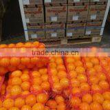 FRESH NAVEL AND VALENCIA ORANGES FROM SOUTH AFRICA thumbnail-1