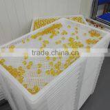 Micro Scal Pharamaceutical Gelatinous Capsule Production Line for Oil and Cream thumbnail-6