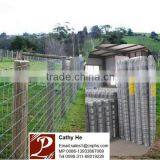 Hot Dipped Galvanized Wire Mesh Fence/ Boundary Fencing thumbnail-1