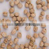 Protein Chickpeas Supplier thumbnail-4