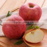 Fresh Red Qinguan Apple With Best Price for Export thumbnail-6