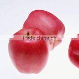 High Quality Chinese Red Star Apple Best Price Red Star Apples Sweet and Fresh Red Star Apples thumbnail-5