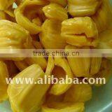Canned JackFruit,Canned JackFruit in Syrup thumbnail-1