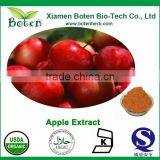 Natural Apple Peel Extract Procyanidin b2 thumbnail-1