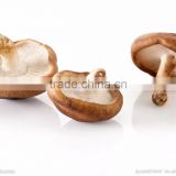 Pure Nature Shiitake Mushroom Extract Powder