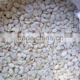 Pumkin Seed Kernels Shine Skine-grade AA thumbnail-4