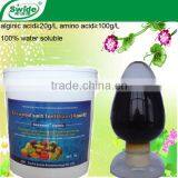 Seaweed Amino Acid Fertilizer thumbnail-1