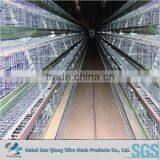 Popular Abroad Galvanized Welded Wire Chicken Cages thumbnail-1