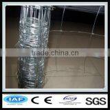 Hot Dipped Galvanized Wire Fencing Horses (factory Exporter) thumbnail-2