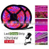 LED Strip Light Indooruse thumbnail-1