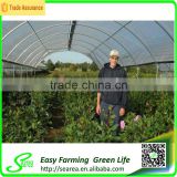 Hot sale poly greenhouse / poly pavement for agriculture