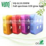 Newest Led Grow Light China Factory VANQLED 300w Cob Grow Full Spectrum thumbnail-3