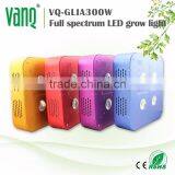 Factory Sales 2 Years Warranty 300w Full Spectrum Led Grow Light for Indoor Growing Greenhouse Vegetable thumbnail-2
