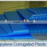 Signboard 3.6mm Corrugated Plastic Sheets for Cake Box thumbnail-5