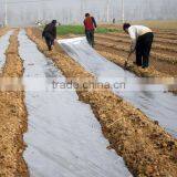 LDPE Agricultural Mulch Film thumbnail-1