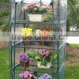 4 Tier Clear PVC Growhouse thumbnail-2