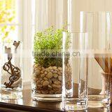 Cylindrical Straight Hydroponic Glass Containers Transparent Glass Vase thumbnail-2