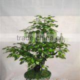 1m Tall Artificial Banyan Bonsai Flower / Tree ( Plant Bonsai Flower RP002 / Tree of DESTE ) thumbnail-1