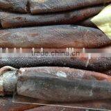 2016 Grade A Frozen Illex Squid 150g-200g for Sale thumbnail-3