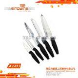 A3391b High Quality 5PCS Stainless Steel Blade Titanium Plated Knife Sets thumbnail-1