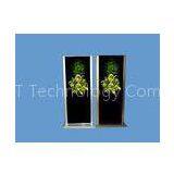 Digital Signage Advertising