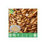 Avena Sativa Extract thumbnail-1